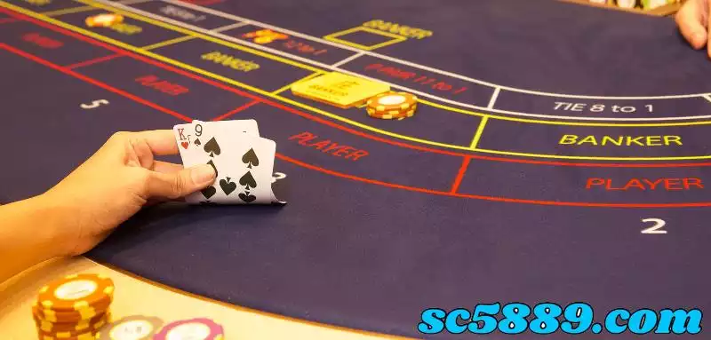 百家樂數據分析