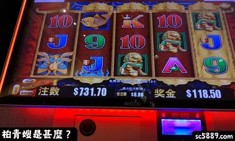 柏青嫂是甚麼？