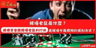 賭場老鼠是什麼？據傳百家樂賭場老鼠的打法，是賭場中最聰明的獲利方式？