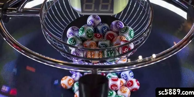 夢到蛇買樂透要選幾號?夢到蛇號碼推薦給你!
