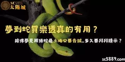 夢到蛇買樂透真的有用？據傳夢見兩條蛇是土地公要告誡...多久要拜拜請示？
