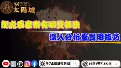 龍虎百家樂有哪些秘訣？深入分析最實用技巧！