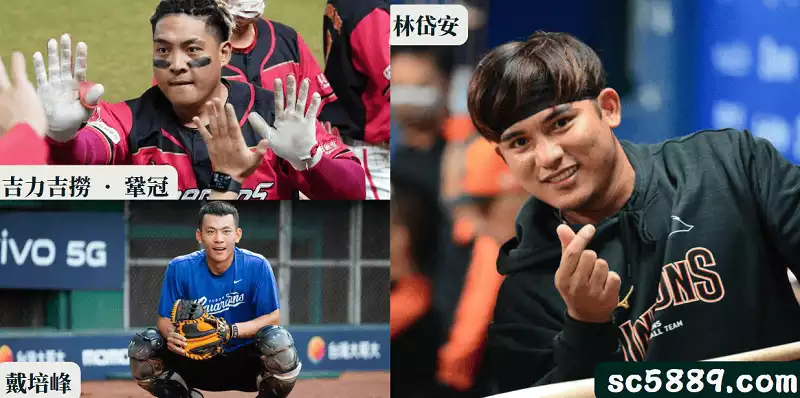 2023經典賽中華隊名單的捕手預測人選