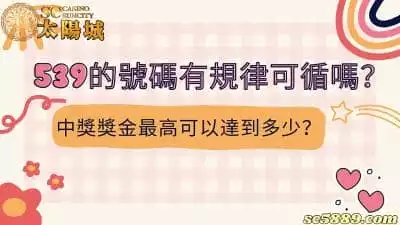 539的號碼有規律可循嗎？地下玩法高額獎金超乎想像！