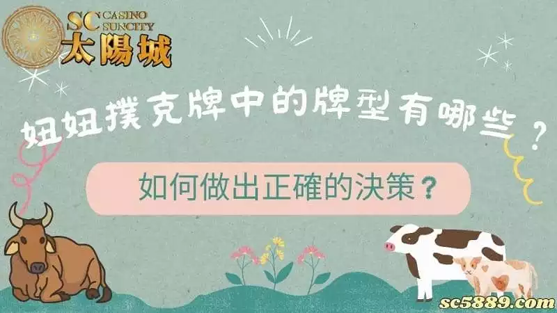 妞妞撲克牌中的牌型有哪些？如何做出正確的決策？