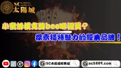 小蜜蜂撲克牌bee哪裡買？探索獨特魅力的經典品牌！