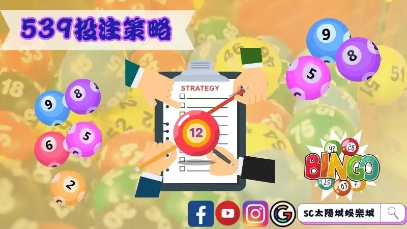 539投注策略