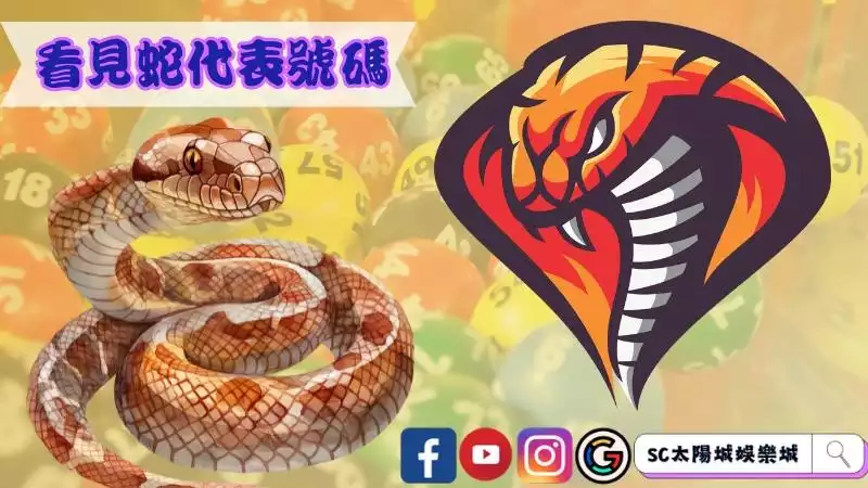 看見蛇代表號碼