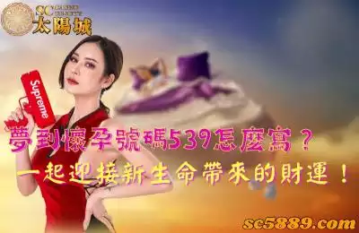 夢到懷孕號碼539怎麼寫？一起迎接新生命帶來的財運！