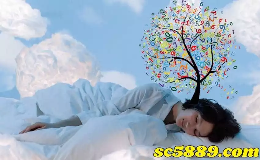 539夢境解讀