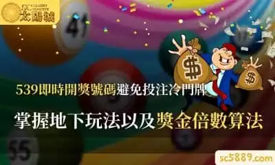 539即時開獎號碼避免投注冷門牌｜掌握地下玩法以及獎金倍數算法