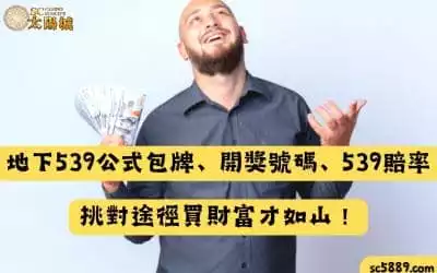 地下539公式包牌、開獎號碼、539賠率｜挑對途徑買財富才如山！