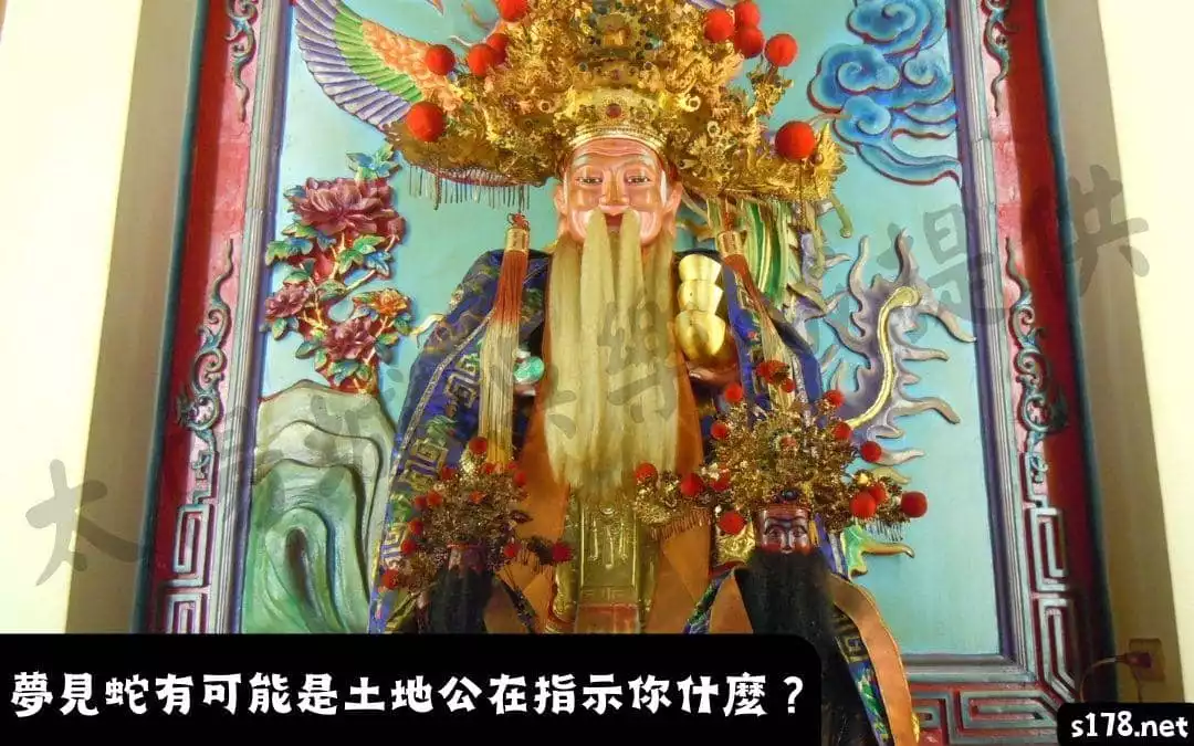 夢見蛇有可能是土地公在指示你什麼？