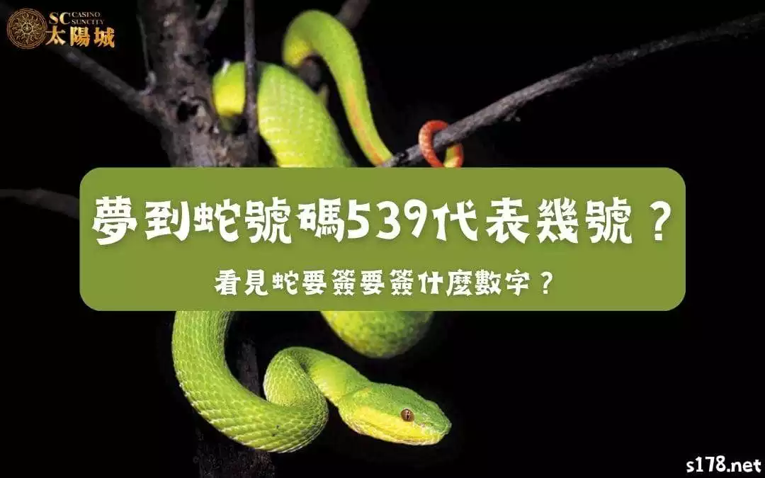 夢到蛇號碼539代表幾號？看見蛇要簽要簽什麼數字？