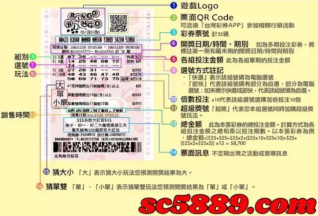 賓果賓果玩法有哪些?操作的步驟是什麼?中獎的話怎麼算彩金?