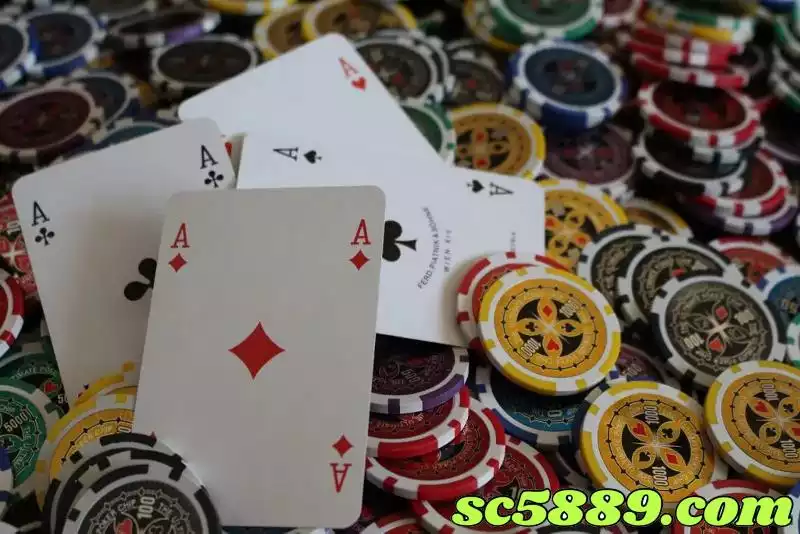 百家樂投注法